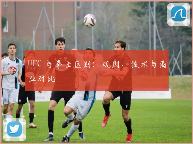 UFC 与拳击区别:规则、技术与商业对比